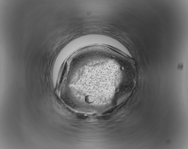 X0000112810419200909111304