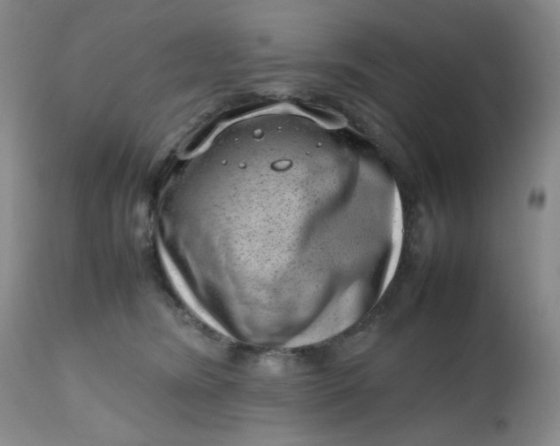 X0000112810420200909111304