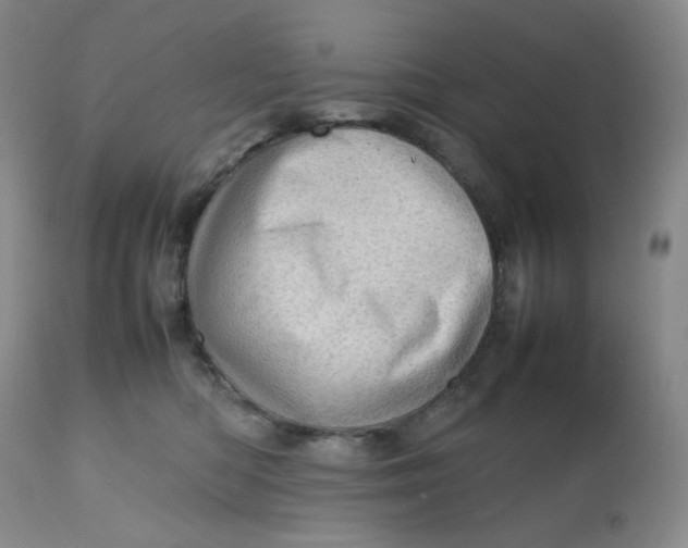 X0000112810422200909111304