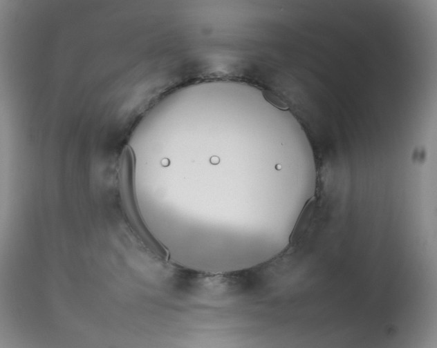 X0000112810423200909111304