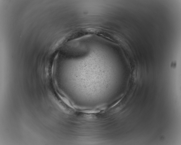 X0000112810424200909111304