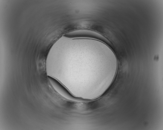 X0000112810425200909111304