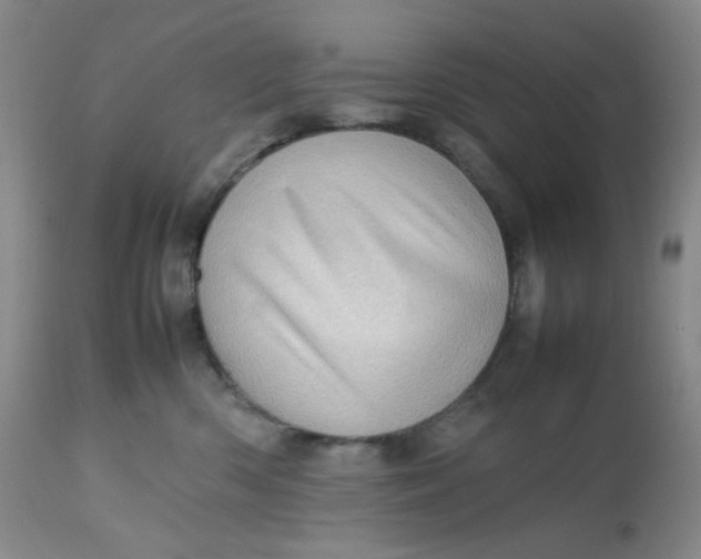 X0000112810426200909111304