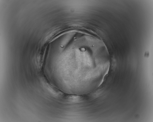 X0000112810428200909111304