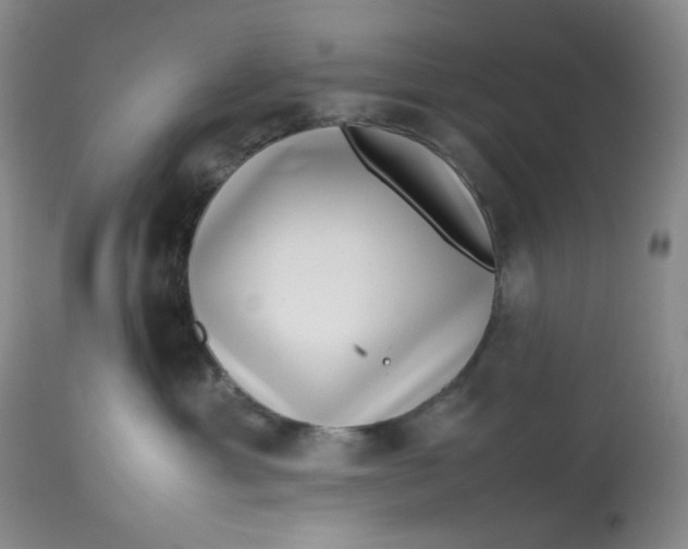 X0000112810429200909111304