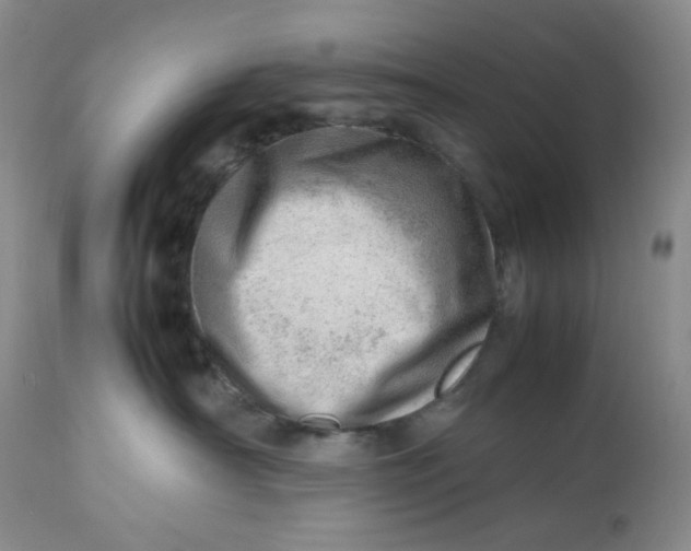 X0000112810430200909111304