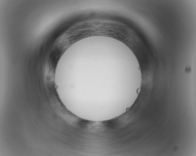 X0000112810431200909111303