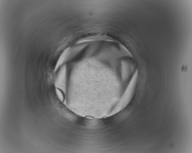 X0000112810432200909111303