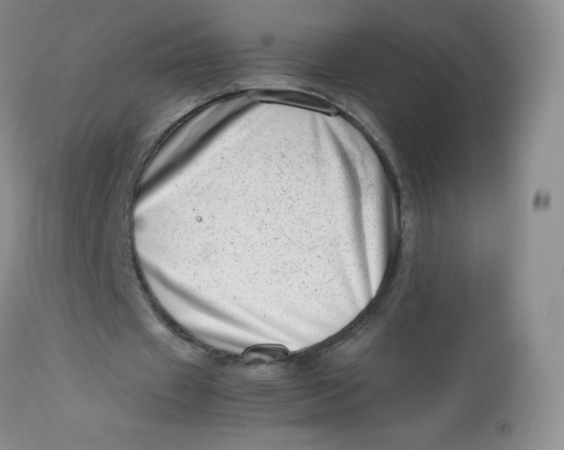 X0000112810433200909111303