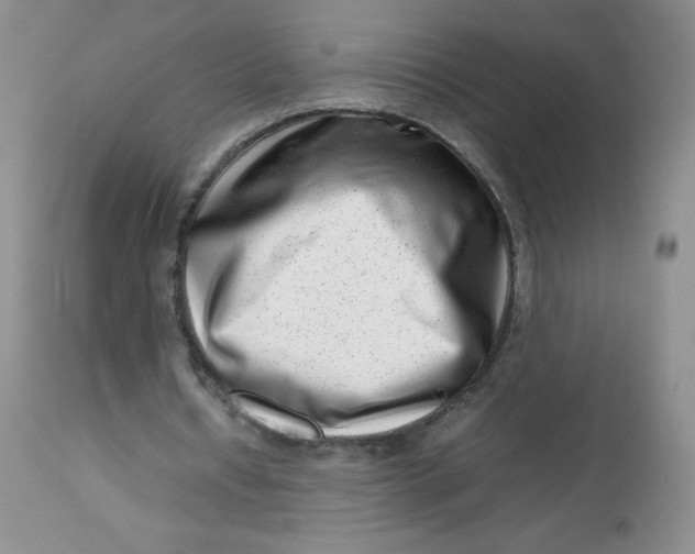 X0000112810434200909111303