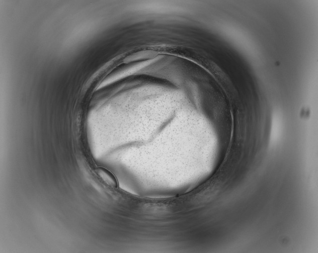 X0000112810435200909111303