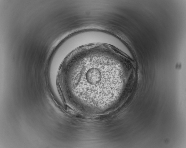 X0000112810436200909111303