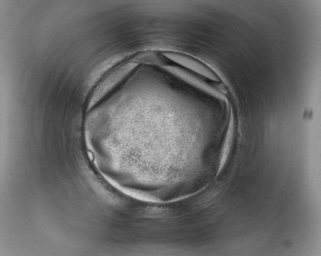 X0000112810437200909111303