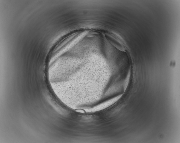 X0000112810439200909111303