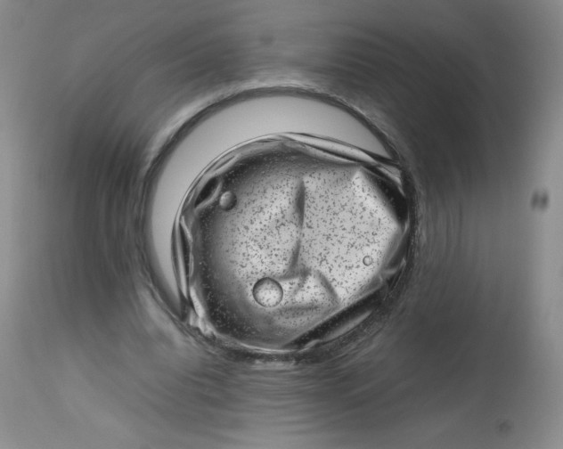 X0000112810440200909111303