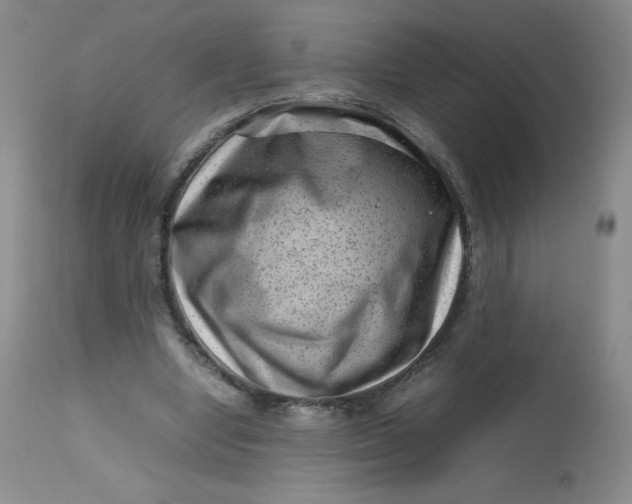 X0000112810442200909111303