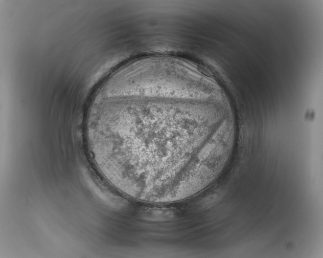 X0000112810443200909111303