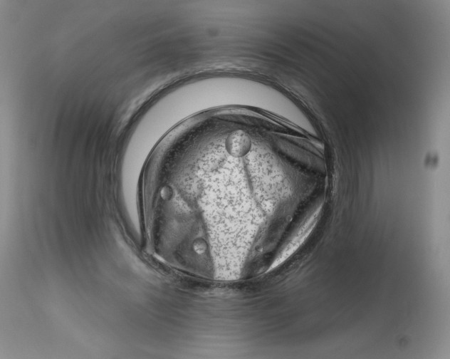 X0000112810444200909111303