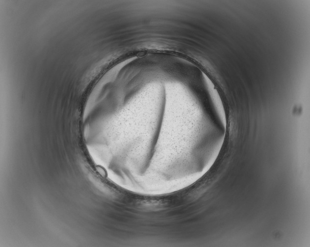 X0000112810445200909111303