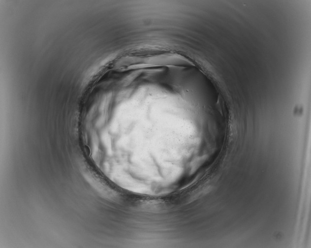 X0000112810446200909111303