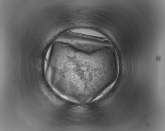 X0000112810447200909111303