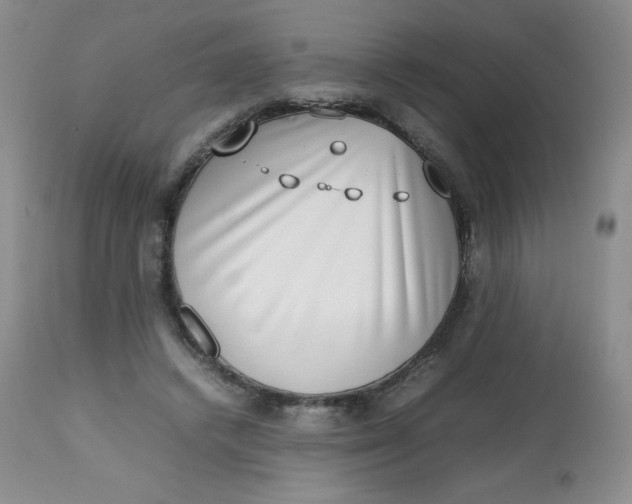 X0000112810448200909111303