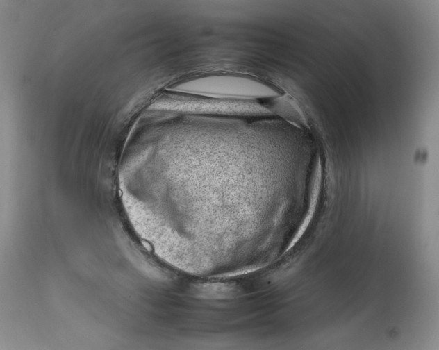 X0000112810449200909111303