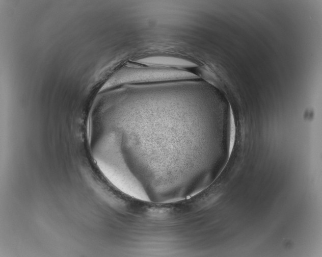 X0000112810450200909111303