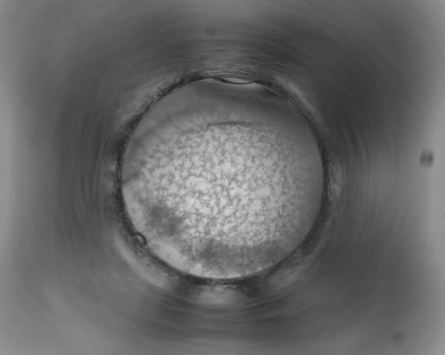 X0000112810451200909111303