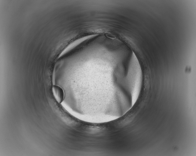 X0000112810453200909111303