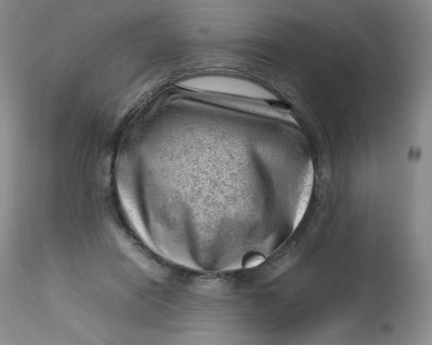 X0000112810454200909111303