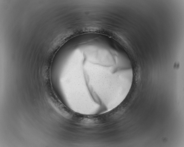 X0000112810455200909111303