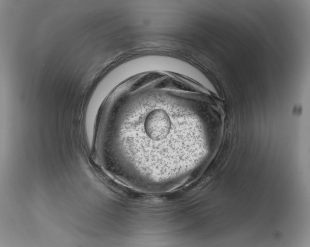 X0000112810456200909111303