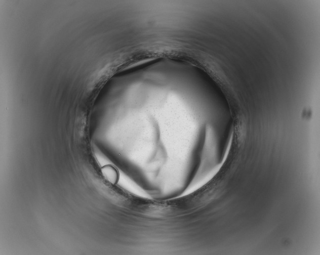 X0000112810458200909111303