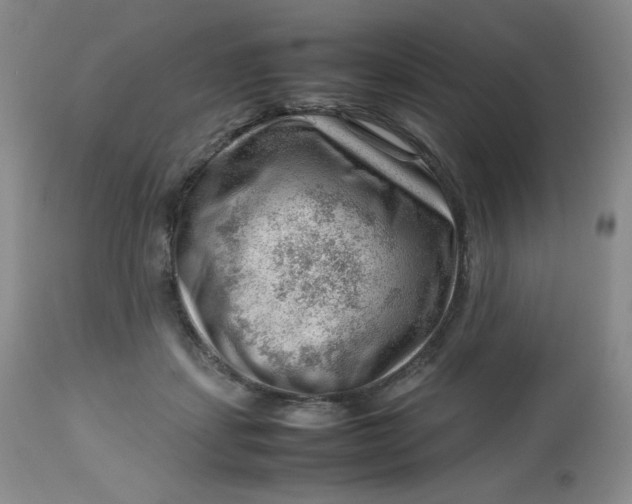 X0000112810459200909111303