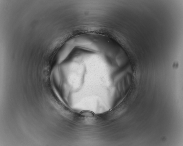 X0000112810462200909111303