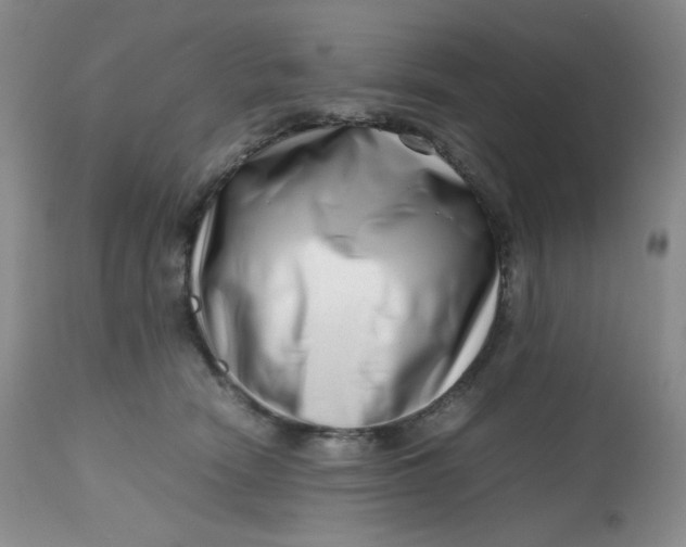 X0000112810466200909111303