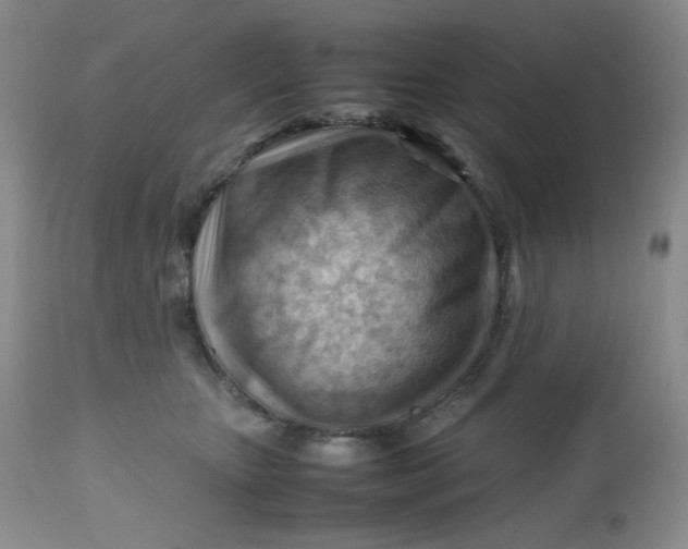 X0000112810467200909111303