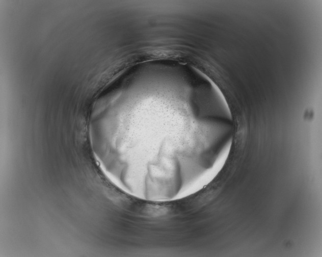 X0000112810469200909111303