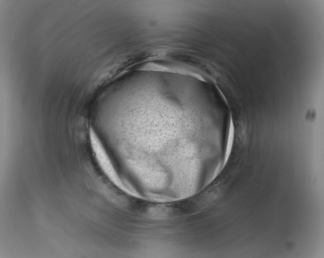 X0000112810470200909111303