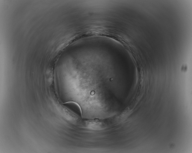 X0000112810471200909111303