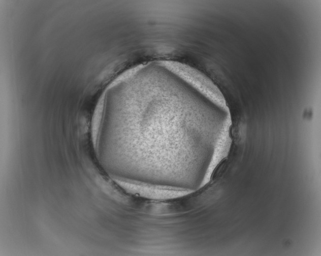 X0000112810472200909111303