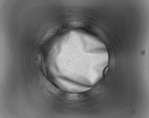 X0000112810473200909111303