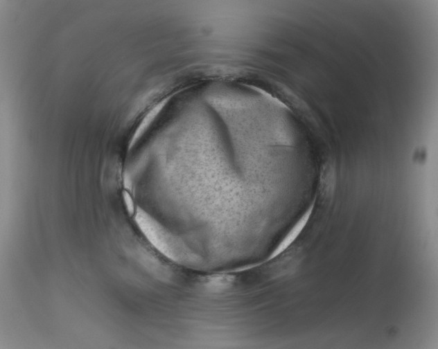 X0000112810474200909111303