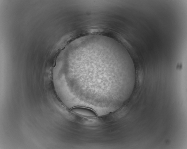 X0000112810475200909111303