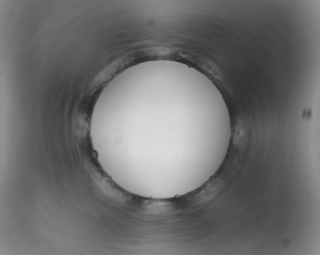 X0000112810476200909111303