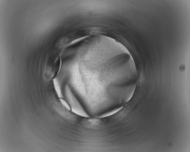 X0000112810478200909111303