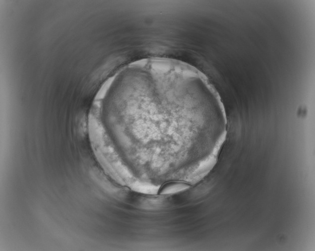 X0000112810479200909111303