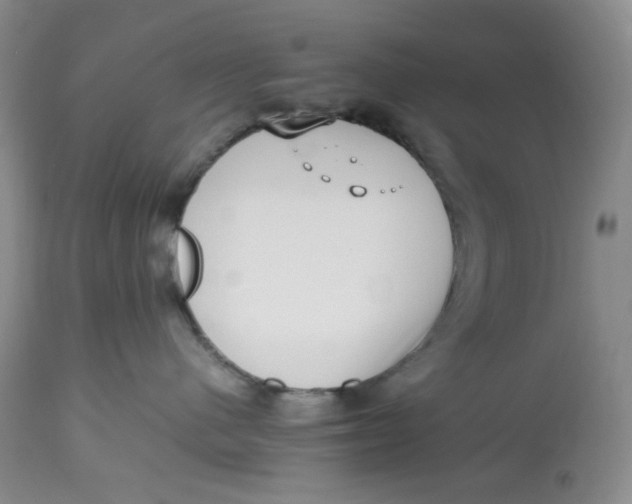 X0000112810480200909111303