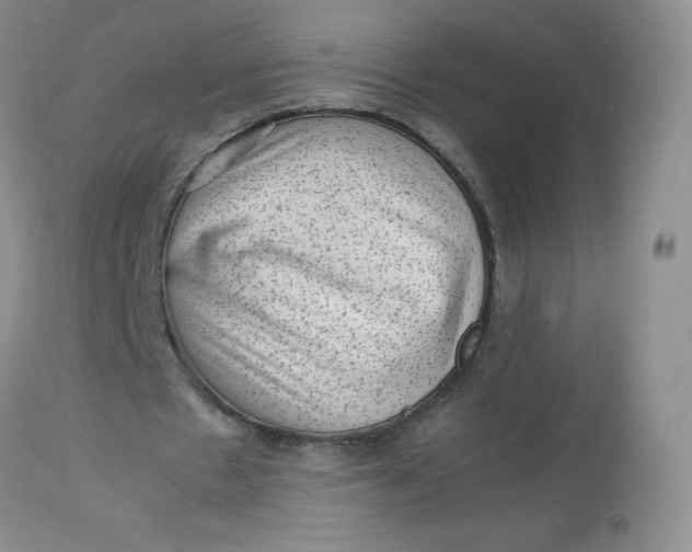 X0000112810481200909111303